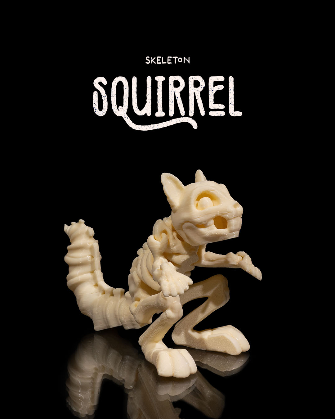 Skeleton Squirrel
